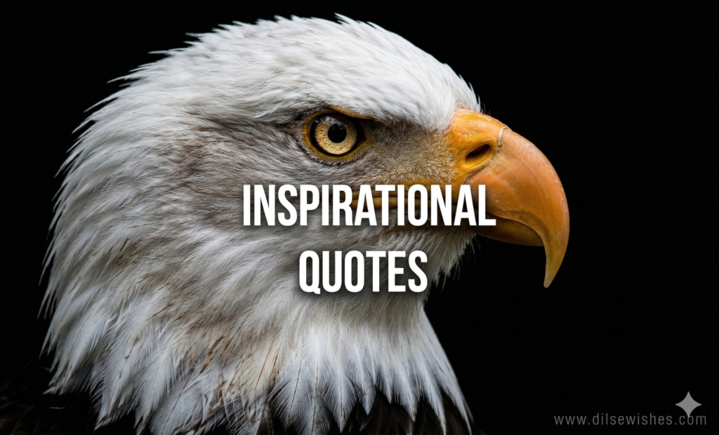 Inspirational Quotes 2 Inspirational Quotes