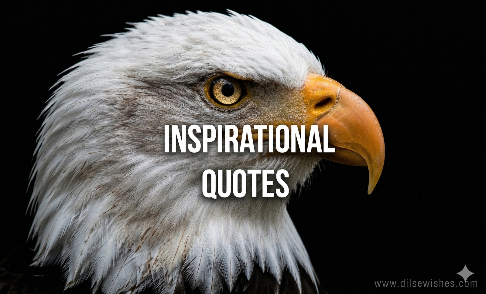 inspirational quotes in english 20 2048x1239 1 1024x620 1
