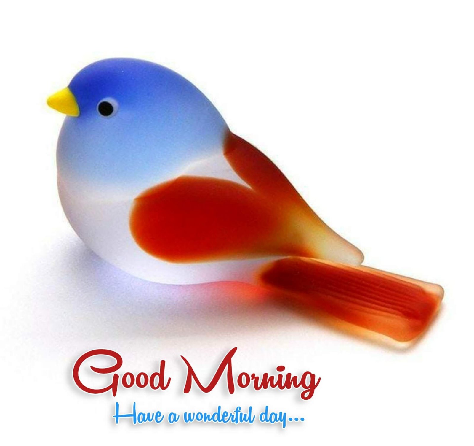 Good Morning Images 8 Good Morning Images 169