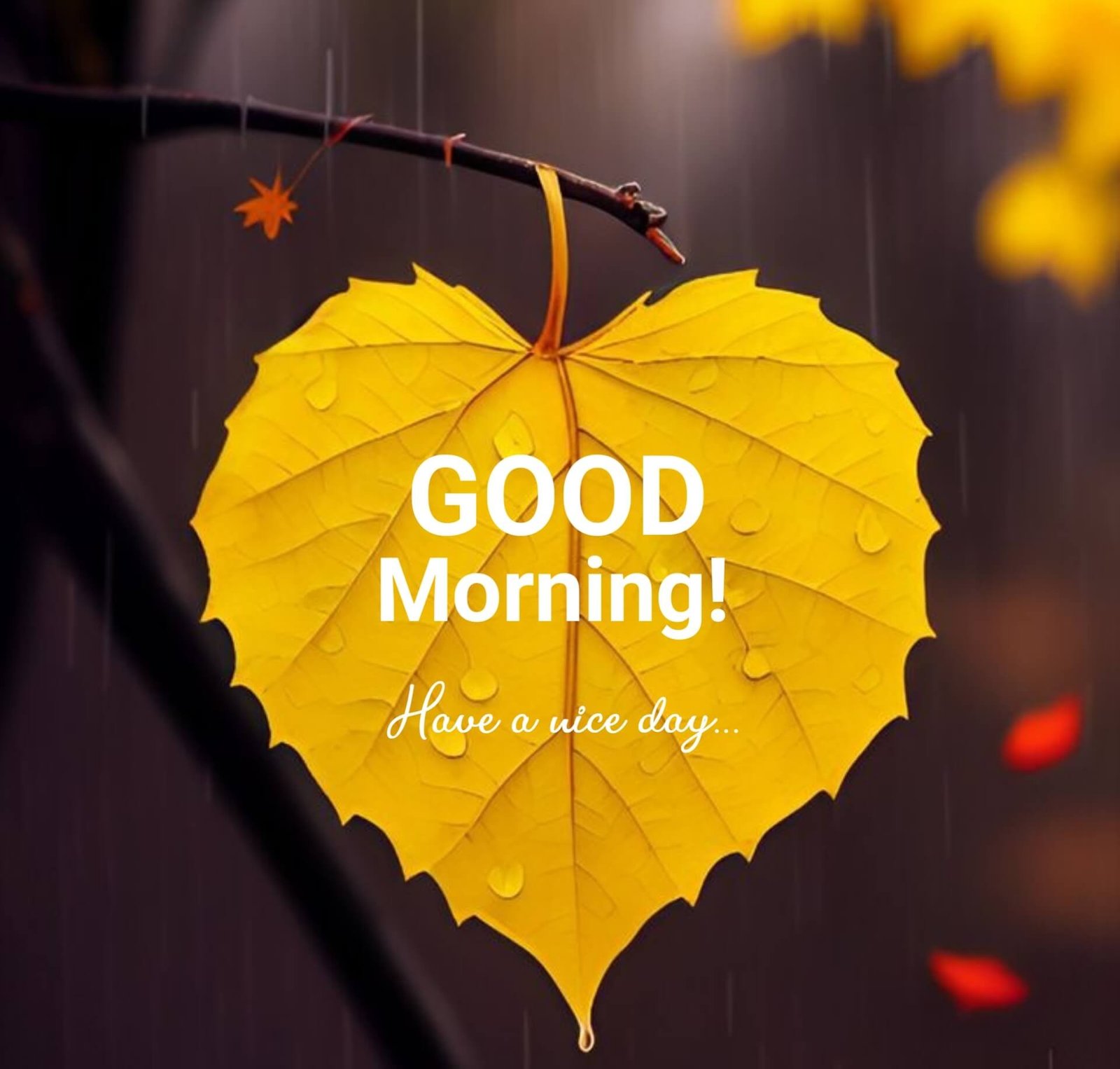 Good Morning Images 7 Good Morning Images 232