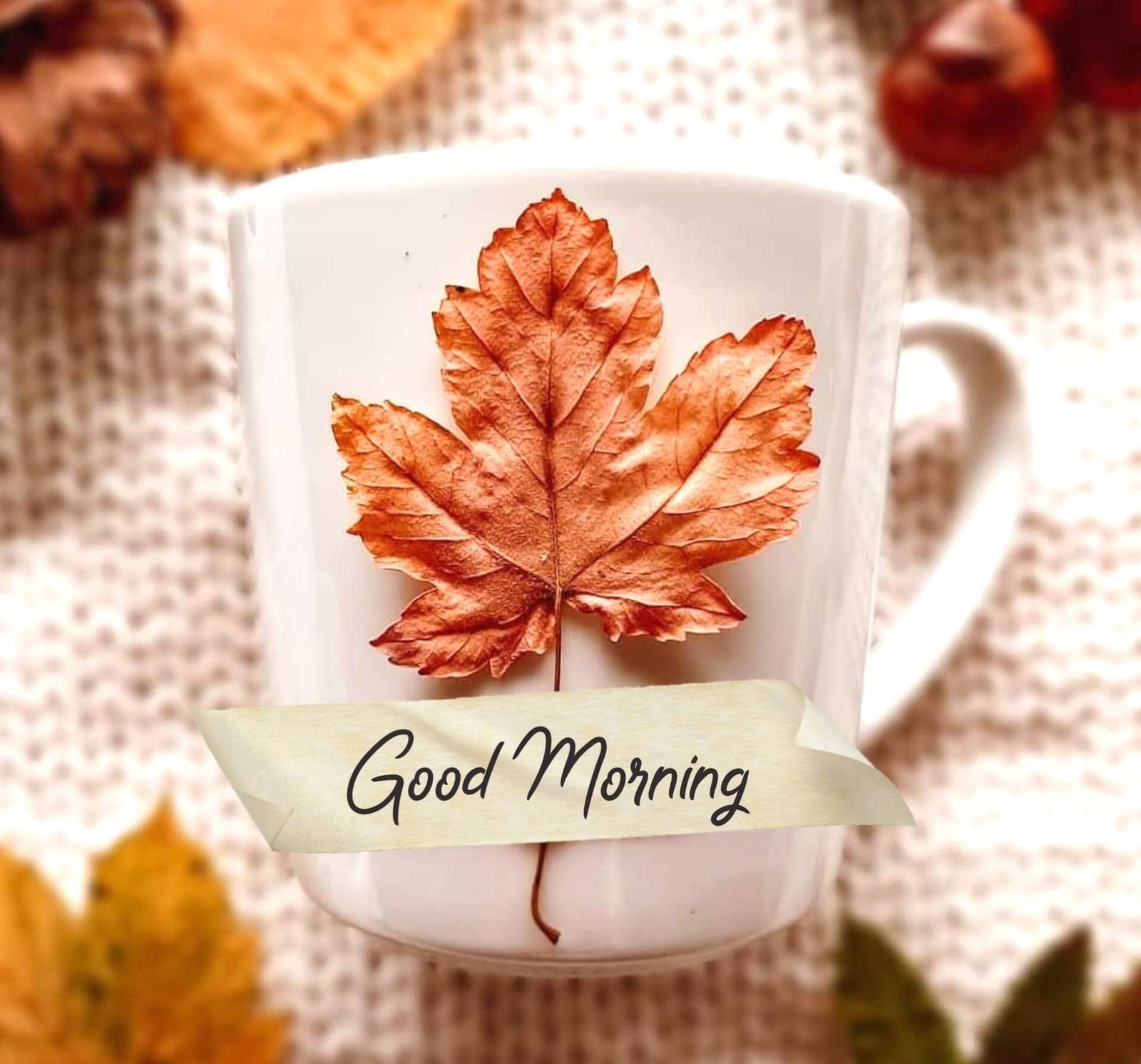 Good Morning Images 3 Good Morning Images 1801 dilsewishes.com