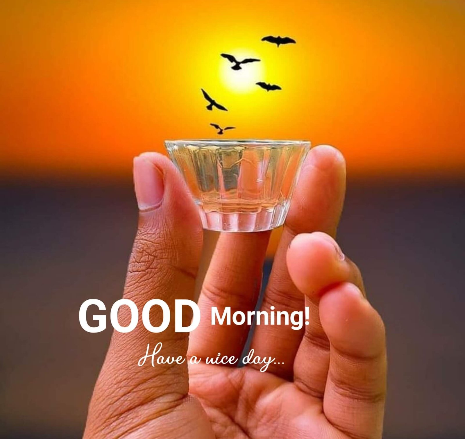 Good Morning Images 4 Good Morning Images 3626 dilsewishes.com