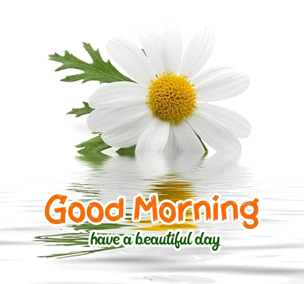 Good Morning Images 6 Good Morning Images 922